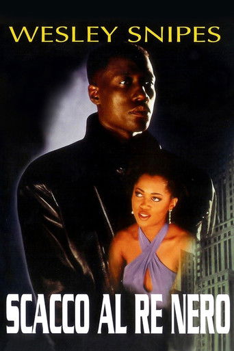 Scacco al re nero streaming in alta definizione