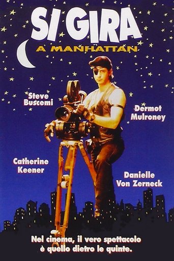 Guarda Si gira a Manhattan in Altadefinizione Si gira a Manhattan streaming film HD poster