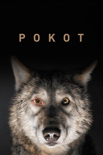 Spoor - Il Sentiero streaming in alta definizione