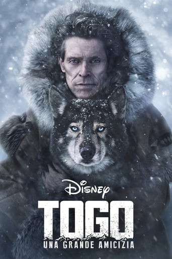 Togo - Una grande amicizia - Film completo in Altadefinizione Togo - Una grande amicizia streaming in alta definizione