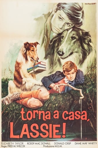Torna a casa Lassie! - Film completo in Altadefinizione Torna a casa Lassie! streaming in alta definizione
