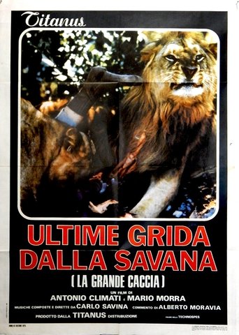 Ultime grida dalla savana streaming in alta definizione