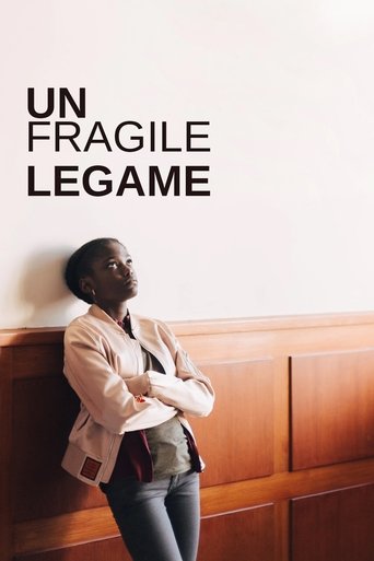 Un fragile legame streaming film HD poster