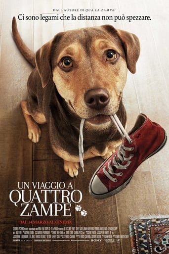 Un viaggio a quattro zampe - Film completo in Altadefinizione Un viaggio a quattro zampe streaming in alta definizione
