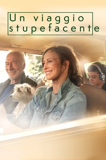 Un viaggio stupefacente streaming film HD poster