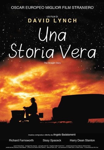 Guarda Una storia vera in Altadefinizione Una storia vera streaming film HD poster